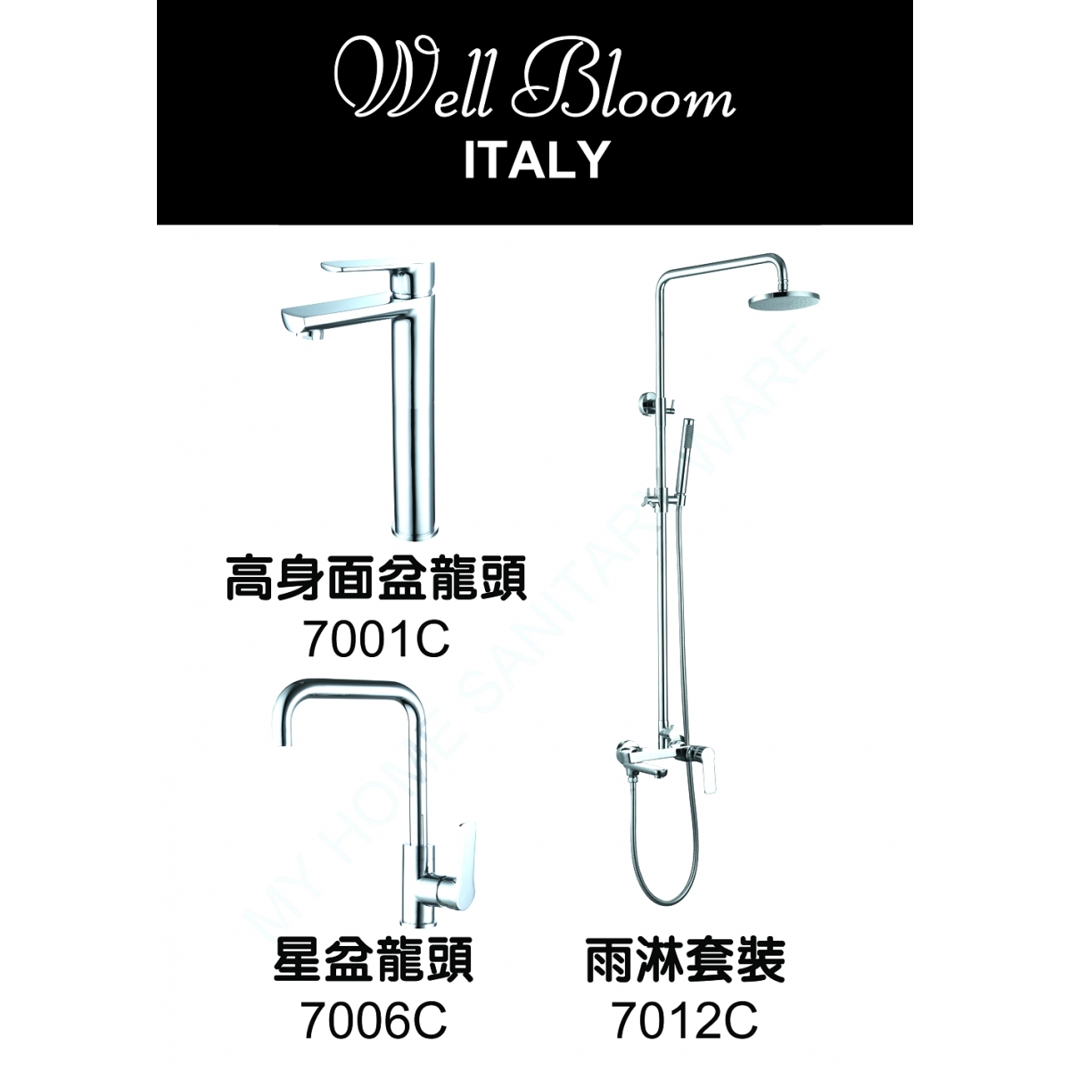 Well Bloom Italy 700CR2 700系列亮銀色龍頭連雨淋套裝